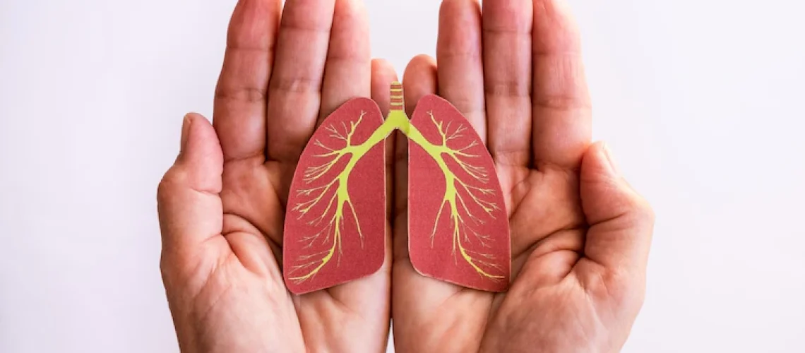 maos-adultas-femininas-segurando-pulmao-dia-mundial-da-tuberculose-dia-mundial-sem-tabaco-virus-corona-covid19-conceito-de-doacao-de-orgaos-de-poluicao-do-ar-ecologica_465191-4074